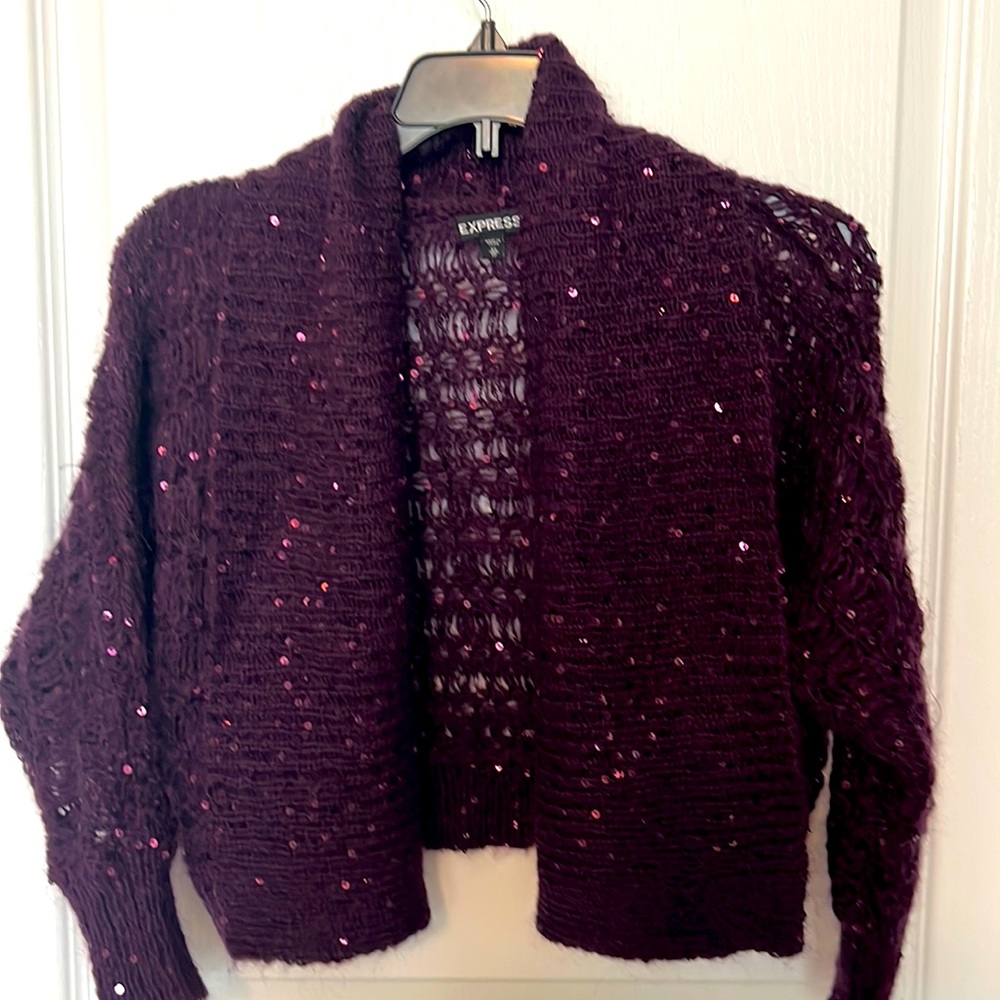 Express short sequin sweater
